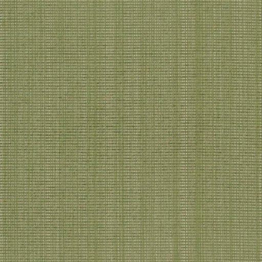 Charlotte - CB700-317 - Fabric by the Yard CB700-317