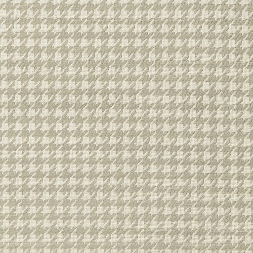 Charlotte - CB700-31 - Fabric by the Yard CB700-31