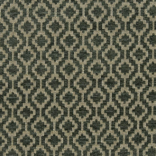 Charlotte - CB700-325 - Fabric by the Yard CB700-325