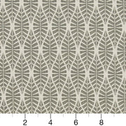 Charlotte - CB700-327 - Fabric by the Yard - CB700-327 - CB700-327_Ruler
