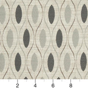 Charlotte - CB700-329 - Fabric by the Yard - CB700-329 - CB700-329_Ruler