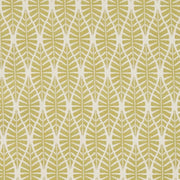 Charlotte - CB700-333 - Fabric by the Yard CB700-333