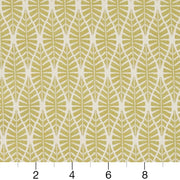 Charlotte - CB700-333 - Fabric by the Yard - CB700-333 - CB700-333_Ruler