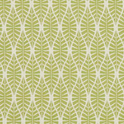Charlotte - CB700-334 - Fabric by the Yard CB700-334