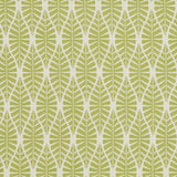 Charlotte - CB700-334 - Fabric by the Yard