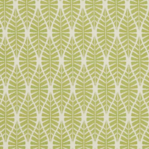 Charlotte - CB700-334 - Fabric by the Yard CB700-334