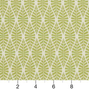 Charlotte - CB700-334 - Fabric by the Yard - CB700-334 - CB700-334_Ruler