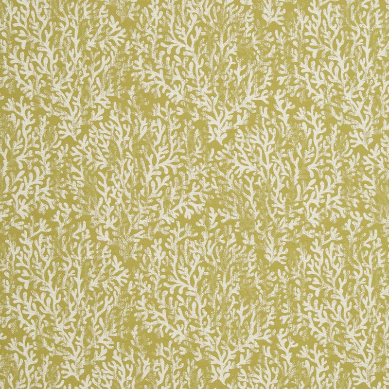 Charlotte - CB700-335 - Fabric by the Yard CB700-335