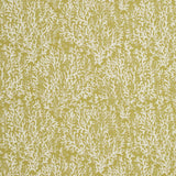 Charlotte - CB700-335 - Fabric by the Yard