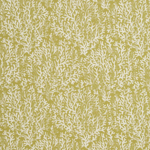 Charlotte - CB700-335 - Fabric by the Yard CB700-335