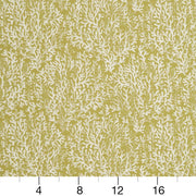 Charlotte - CB700-335 - Fabric by the Yard - CB700-335 - CB700-335_Ruler