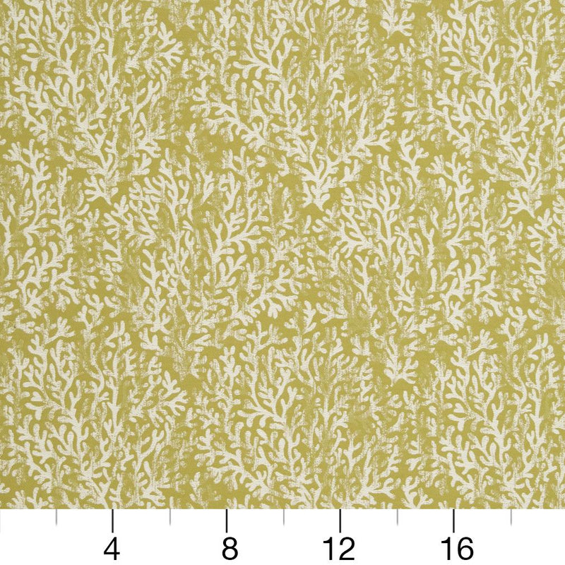Charlotte - CB700-335 - Fabric by the Yard - CB700-335 - CB700-335_Ruler
