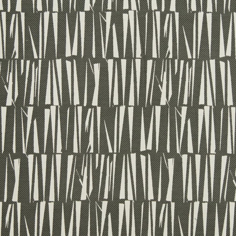 Charlotte - CB700-342 - Fabric by the Yard CB700-342