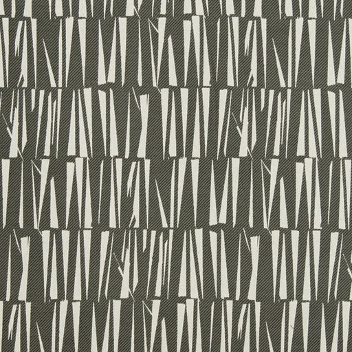 Charlotte - CB700-342 - Fabric by the Yard CB700-342
