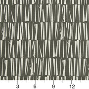 Charlotte - CB700-342 - Fabric by the Yard - CB700-342 - CB700-342_Ruler
