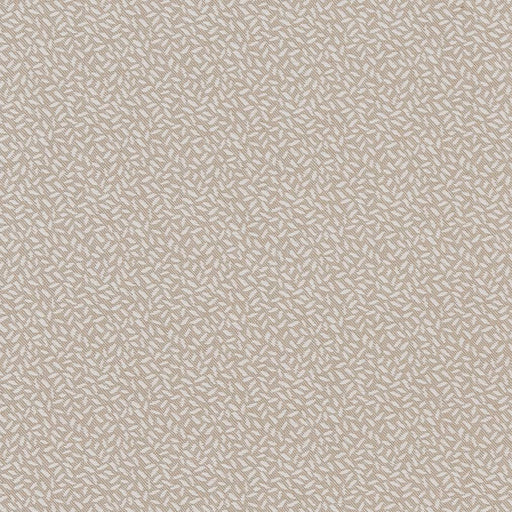 Charlotte - CB700-346 - Fabric by the Yard CB700-346