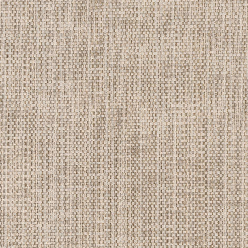 Charlotte - CB700-359 - Fabric by the Yard CB700-359