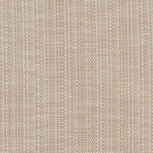 Charlotte - CB700-359 - Fabric by the Yard CB700-359