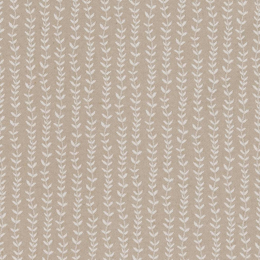 Charlotte - CB700-367 - Fabric by the Yard CB700-367
