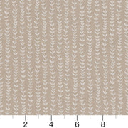 Charlotte - CB700-367 - Fabric by the Yard - CB700-367 - CB700-367_Ruler