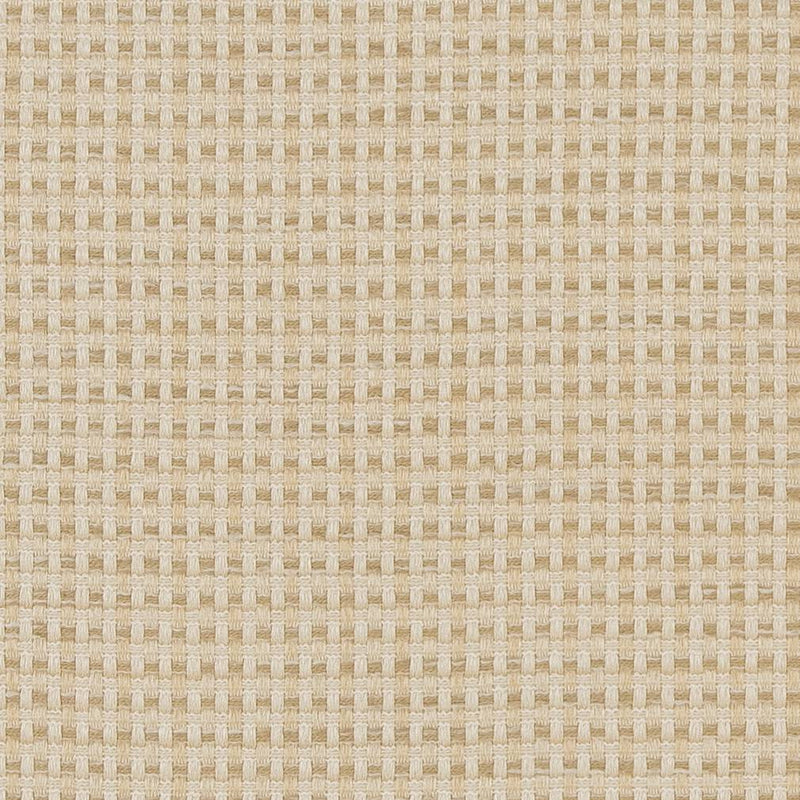 Charlotte - CB700-374 - Fabric by the Yard CB700-374