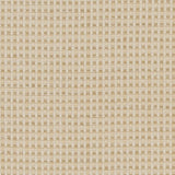 Charlotte - CB700-374 - Fabric by the Yard