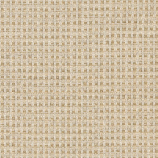 Charlotte - CB700-374 - Fabric by the Yard CB700-374