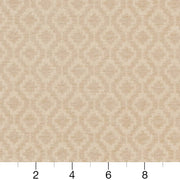 Charlotte - CB700-375 - Fabric by the Yard - CB700-375 - CB700-375_Ruler