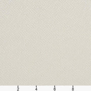 Charlotte - CB700-37 - Fabric by the Yard - CB700-37 - CB700-37_Ruler