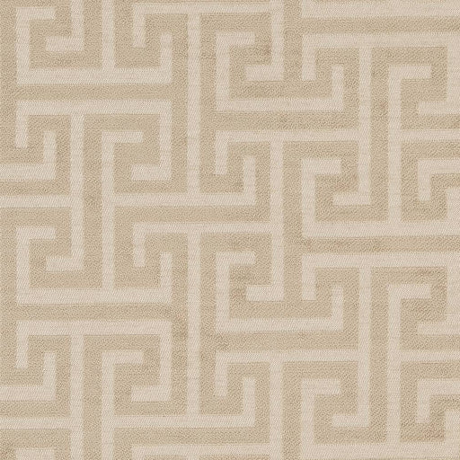 Charlotte - CB700-382 - Fabric by the Yard CB700-382
