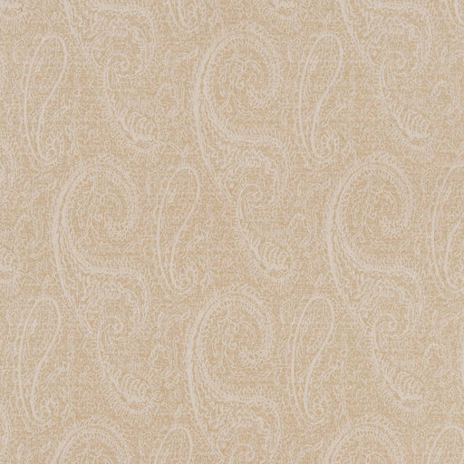 Charlotte - CB700-388 - Fabric by the Yard CB700-388
