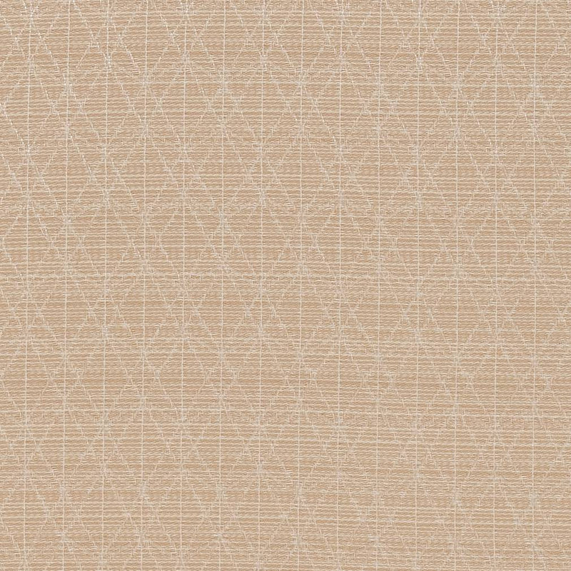 Charlotte - CB700-389 - Fabric by the Yard CB700-389