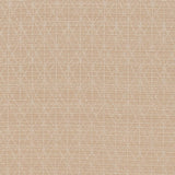 Charlotte - CB700-389 - Fabric by the Yard