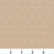 Charlotte - CB700-389 - Fabric by the Yard - CB700-389 - CB700-389_Ruler
