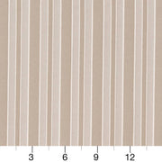 Charlotte - CB700-390 - Fabric by the Yard - CB700-390 - CB700-390_Ruler