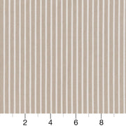 Charlotte - CB700-392 - Fabric by the Yard - CB700-392 - CB700-392_Ruler