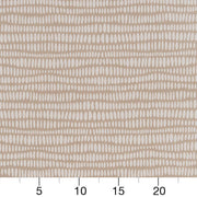 Charlotte - CB700-399 - Fabric by the Yard - CB700-399 - CB700-399_Ruler