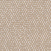 Charlotte - CB700-400 - Fabric by the Yard CB700-400