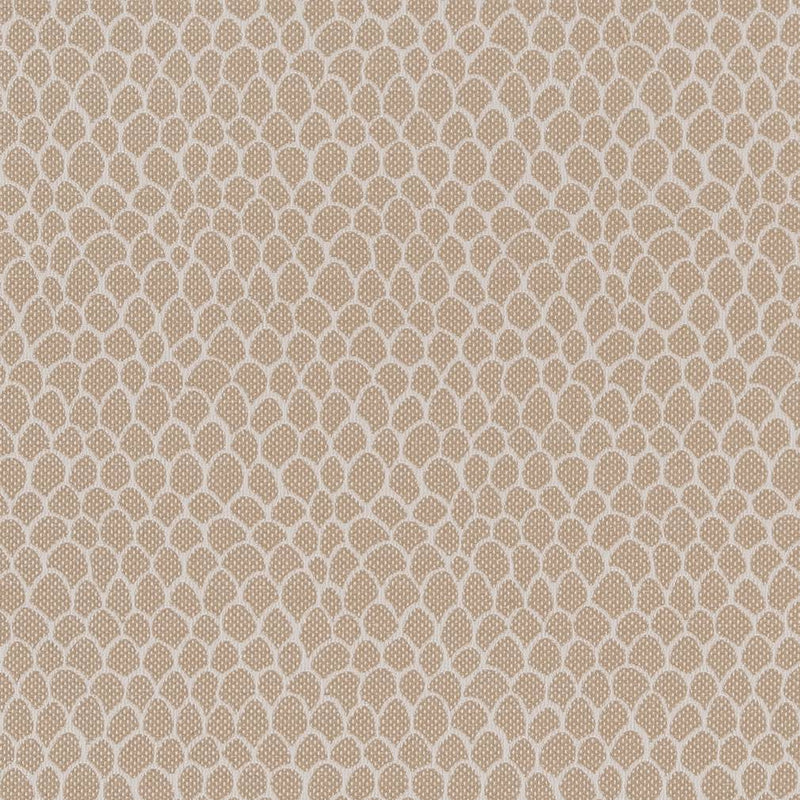 Charlotte - CB700-400 - Fabric by the Yard CB700-400