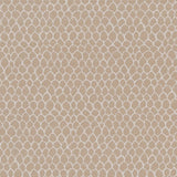 Charlotte - CB700-400 - Fabric by the Yard