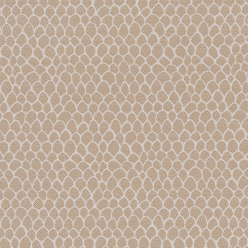 Charlotte - CB700-400 - Fabric by the Yard CB700-400