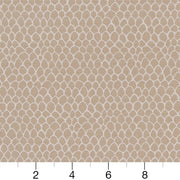 Charlotte - CB700-400 - Fabric by the Yard - CB700-400 - CB700-400_Ruler