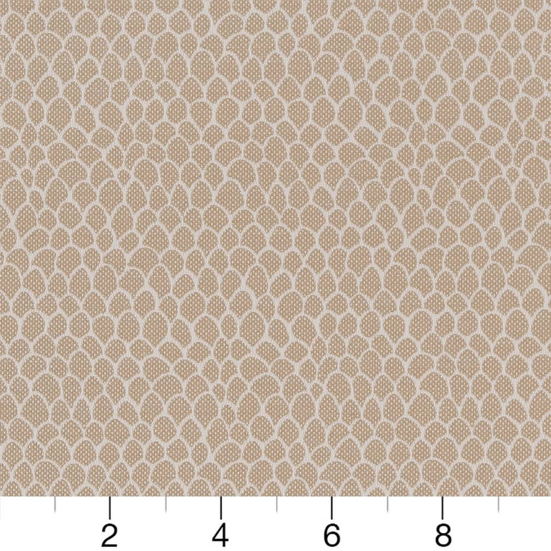 Charlotte - CB700-400 - Fabric by the Yard - CB700-400 - CB700-400_Ruler