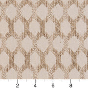 Charlotte - CB700-408 - Fabric by the Yard - CB700-408 - CB700-408_Ruler