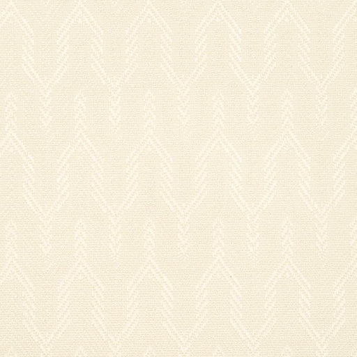 Charlotte - CB700-42 - Fabric by the Yard CB700-42