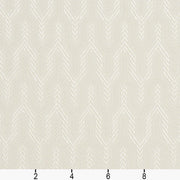 Charlotte - CB700-42 - Fabric by the Yard - CB700-42 - CB700-42_Ruler