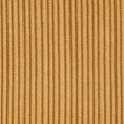 Charlotte - CB700-436 - Fabric by the Yard CB700-436