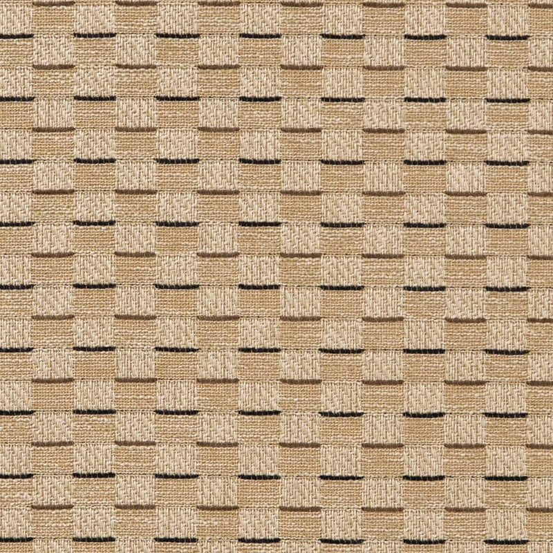Charlotte - CB700-455 - Fabric by the Yard CB700-455