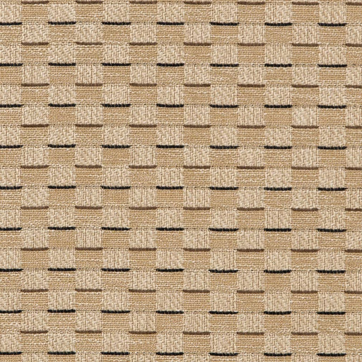 Charlotte - CB700-455 - Fabric by the Yard CB700-455