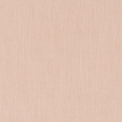 Charlotte - CB700-459 - Fabric by the Yard CB700-459